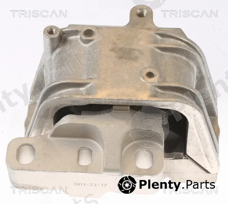 Triscan 850529127 — Mounting, engine