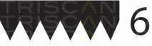 Triscan 8640601928 — V-Ribbed Belt