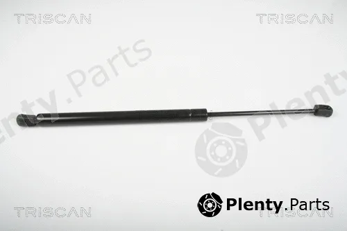 Triscan 871029280 — Gas Spring, boot/cargo area