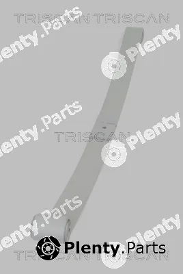 Triscan 876510008 — Spring Pack