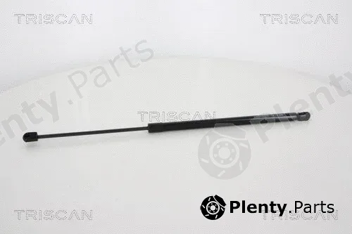 Triscan 871010212 — Gas Spring, boot/cargo area