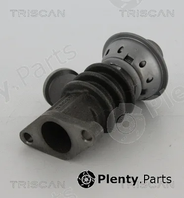 Triscan 881328100 — EGR Valve