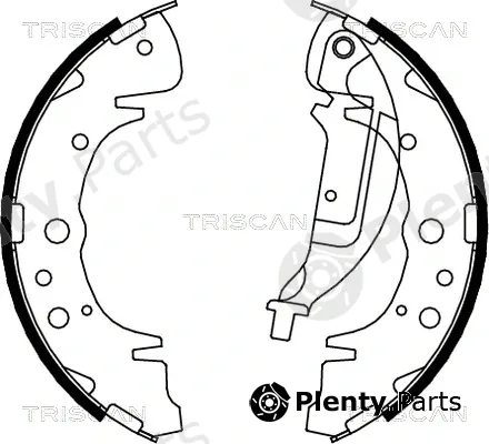 Triscan 810010019 — Brake Shoe Set