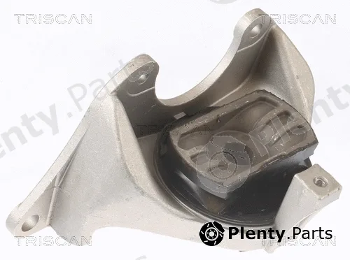 Triscan 850515102 — Mounting, engine