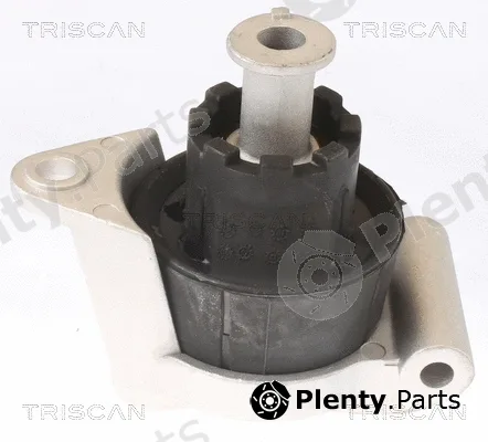 Triscan 850524103 — Mounting, engine