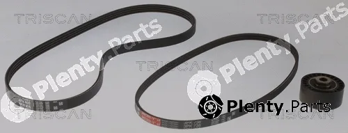 Triscan 864225014 — V-Ribbed Belt Set