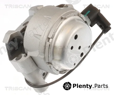 Triscan 850529171 — Mounting, engine