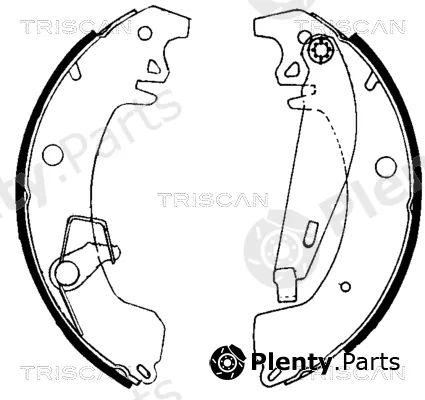 Triscan 810010031 — Brake Shoe Set