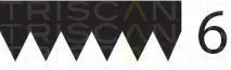 Triscan 8640601123 — V-Ribbed Belt