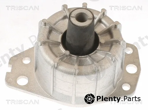 Triscan 850515109 — Mounting, engine