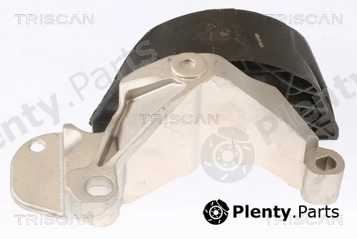 Triscan 850525115 — Mounting, engine