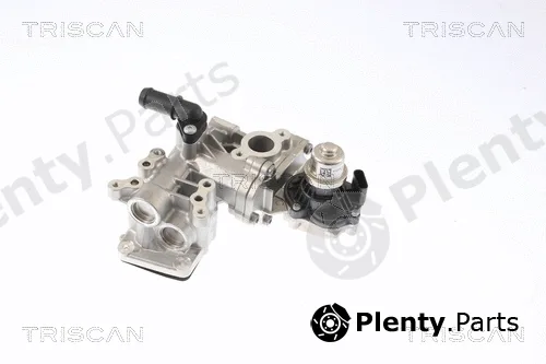 Triscan 881316005 — EGR Valve