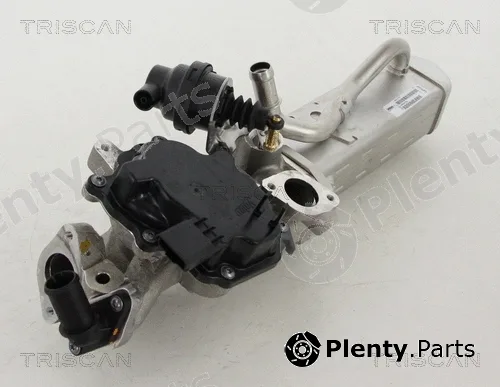 Triscan 881310203 — EGR Valve