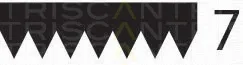 Triscan 8640702255 — V-Ribbed Belt