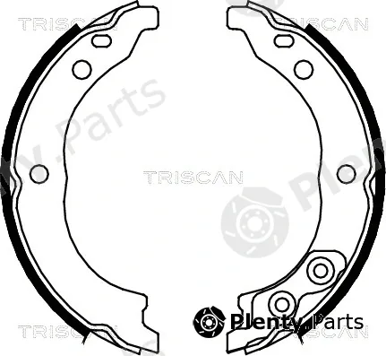 Triscan 810010010 — Brake Shoe Set, parking brake