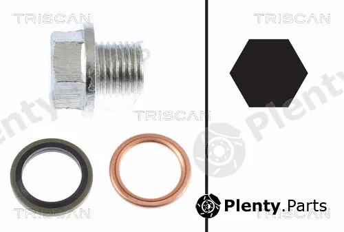 Triscan 95001001 — Screw Plug, oil sump