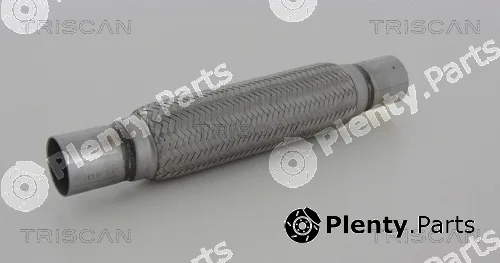 Triscan 700010013 — Flexible Pipe, exhaust system