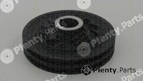 Triscan 864342002 — Belt Pulley, crankshaft