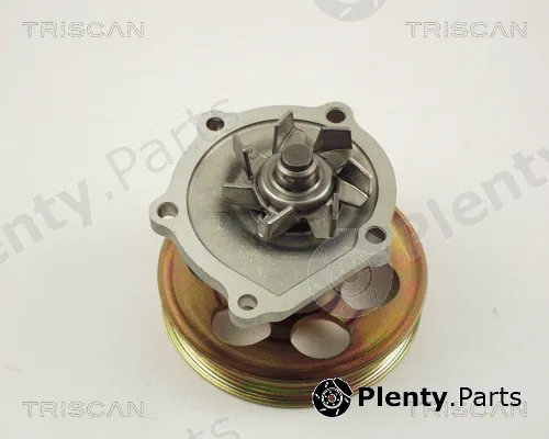 Triscan 860013010 — Water Pump, engine cooling