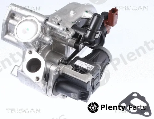 Triscan 881310108 — EGR Valve