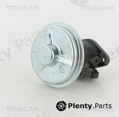 Triscan 881321002 — EGR Valve