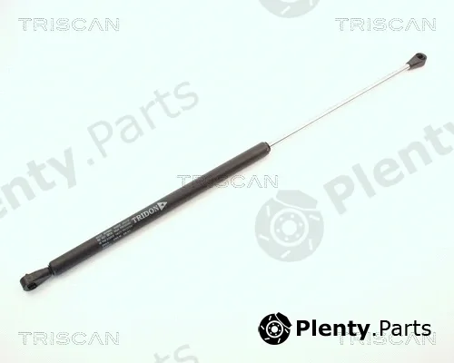 Triscan 87102503 — Gas Spring, boot/cargo area