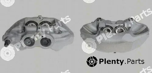 Triscan 8170343613 — Brake Caliper