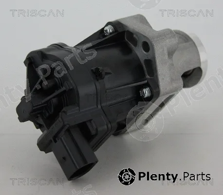 Triscan 881310006 — EGR Valve