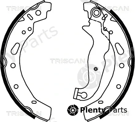 Triscan 810016012 — Brake Shoe Set
