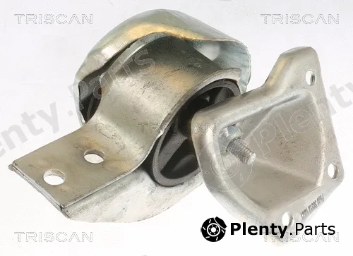 Triscan 850523100 — Mounting, engine