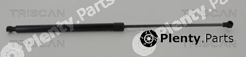 Triscan 871025278 — Gas Spring, boot/cargo area