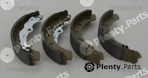 Triscan 810016015 — Brake Shoe Set