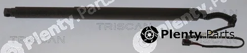 Triscan 871027303 — Gas Spring, boot/cargo area