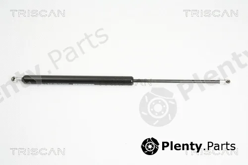 Triscan 871029276 — Gas Spring, boot/cargo area