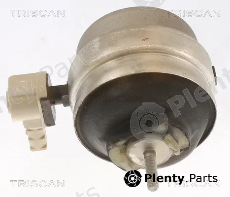 Triscan 850529111 — Mounting, engine