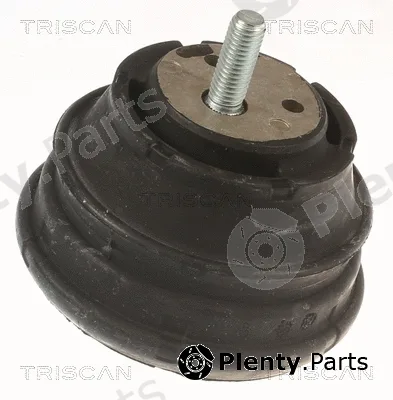 Triscan 850511112 — Mounting, engine