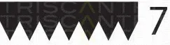 Triscan 8640702535 — V-Ribbed Belt