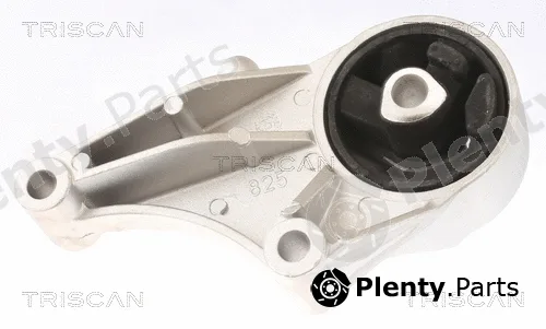 Triscan 850524101 — Mounting, engine
