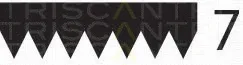 Triscan 8640701043 — V-Ribbed Belt