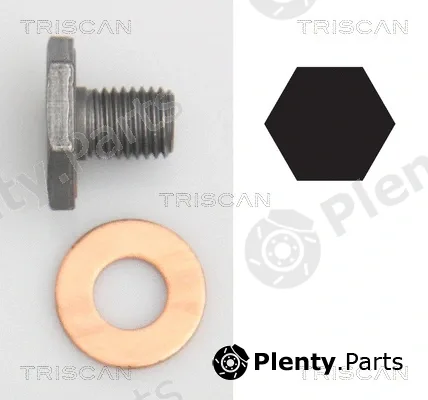 Triscan 95001010 — Screw Plug, oil sump