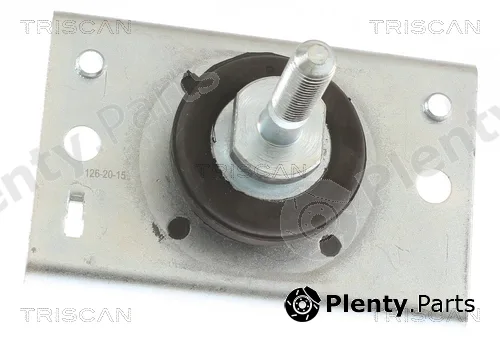 Triscan 850510116 — Mounting, engine