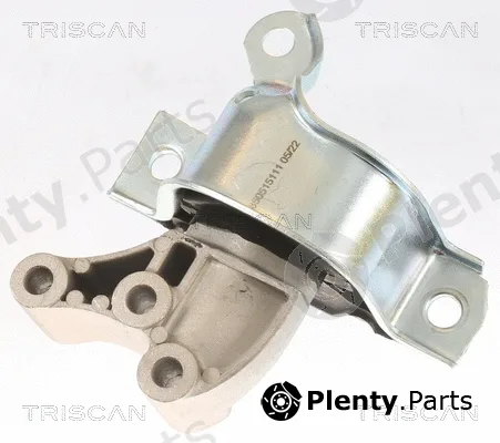 Triscan 850515111 — Mounting, engine