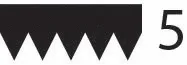 Triscan 8640501215 — V-Ribbed Belt
