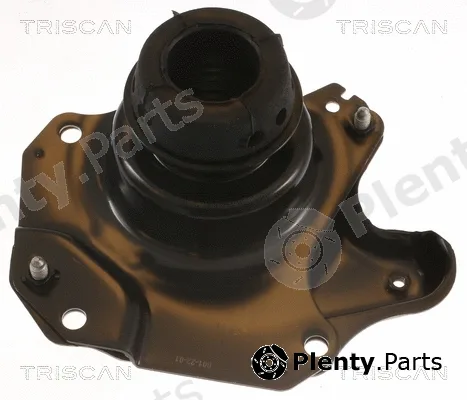 Triscan 850529150 — Mounting, engine