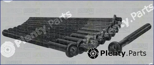 Triscan 98-5524 — Cylinder Head Bolt Set