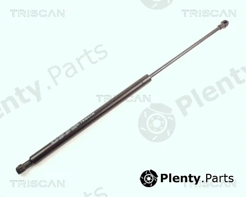 Triscan 871017210 — Gas Spring, boot/cargo area