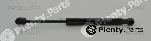 Triscan 871010216 — Gas Spring, boot/cargo area