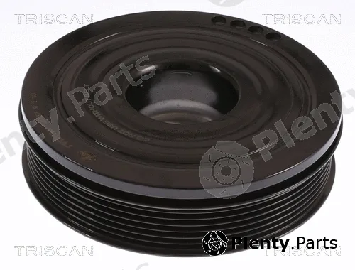 Triscan 864311009 — Belt Pulley, crankshaft