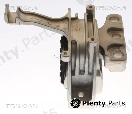 Triscan 850529173 — Mounting, engine