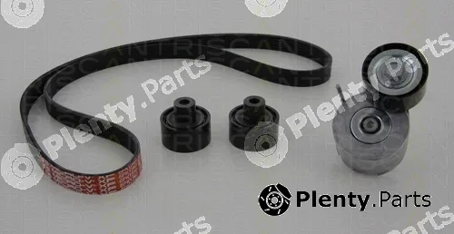Triscan 864210009 — V-Ribbed Belt Set